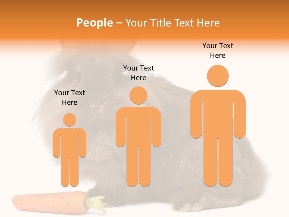 Rabbit Soft Puppy PowerPoint Template