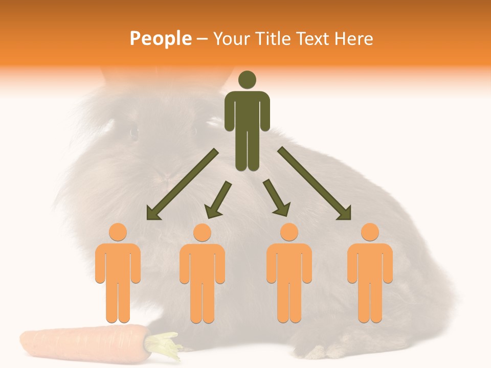 Rabbit Soft Puppy PowerPoint Template