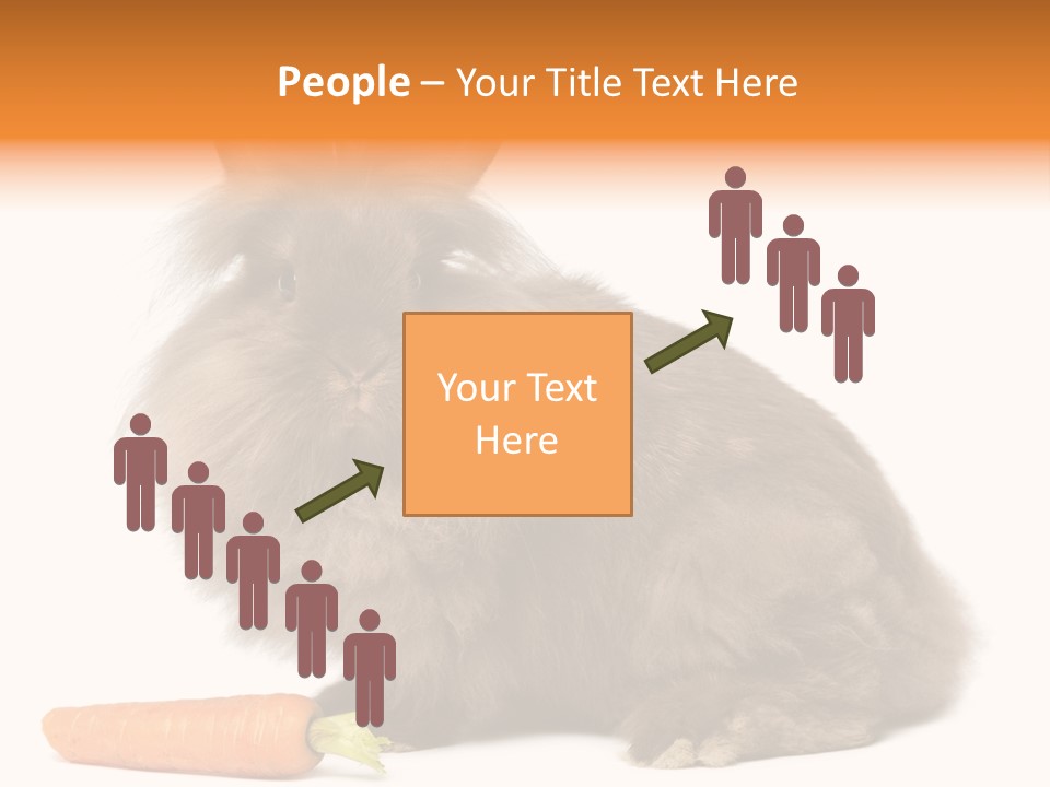 Rabbit Soft Puppy PowerPoint Template