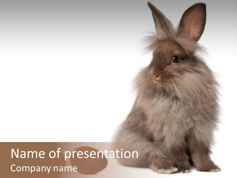 Chocolate Soft Animal PowerPoint Template