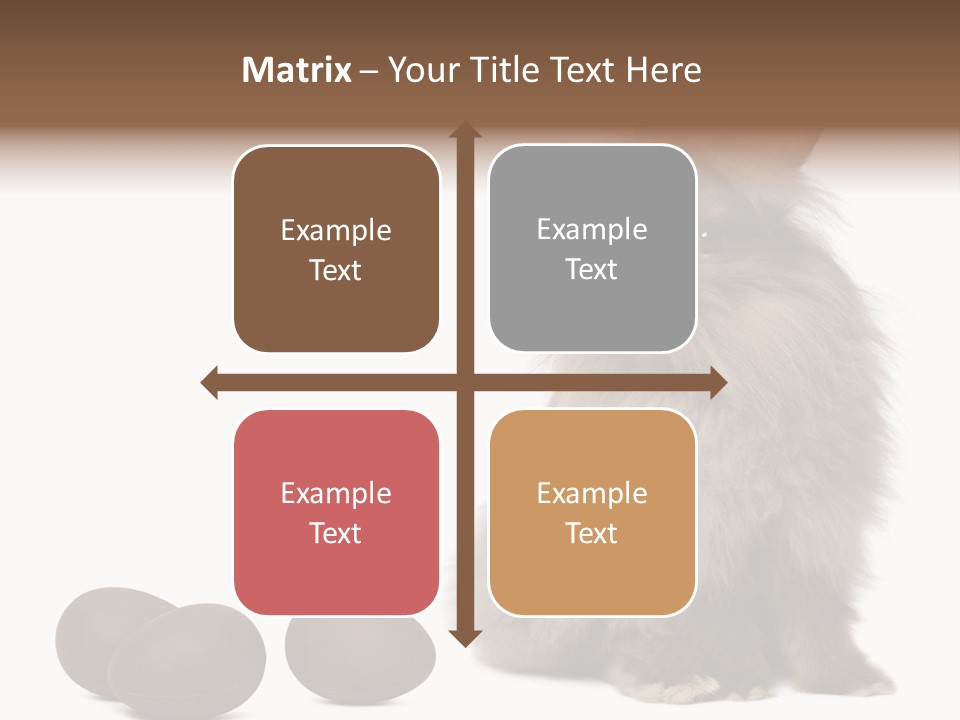 Chocolate Soft Animal PowerPoint Template