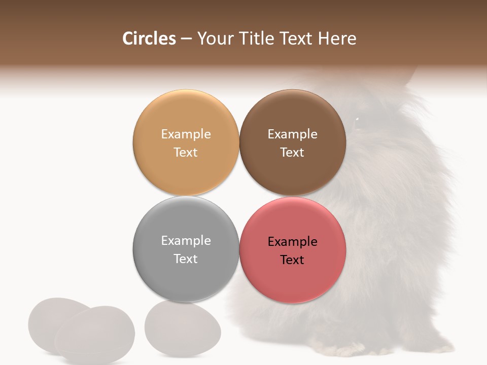 Chocolate Soft Animal PowerPoint Template