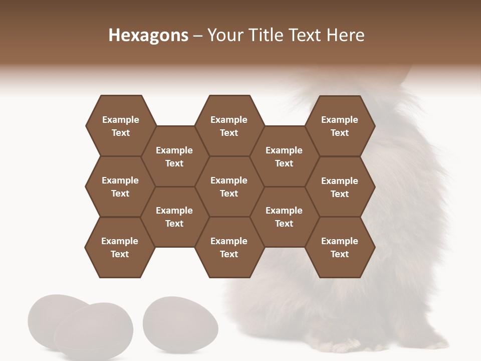 Chocolate Soft Animal PowerPoint Template