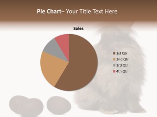 Chocolate Soft Animal PowerPoint Template