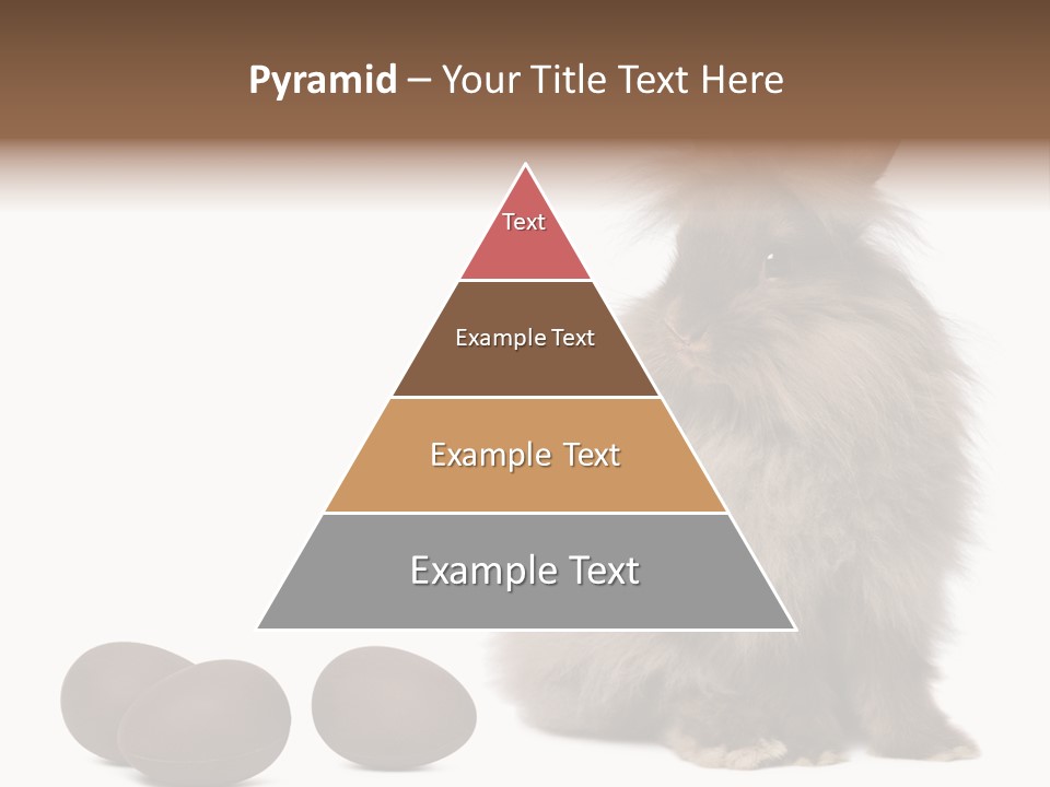 Chocolate Soft Animal PowerPoint Template