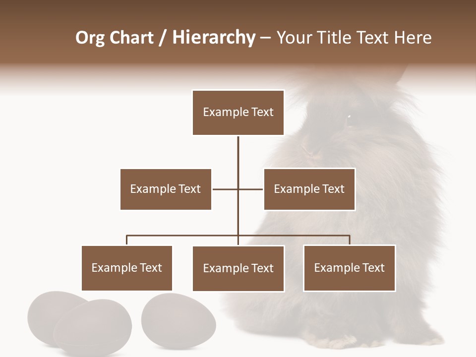 Chocolate Soft Animal PowerPoint Template