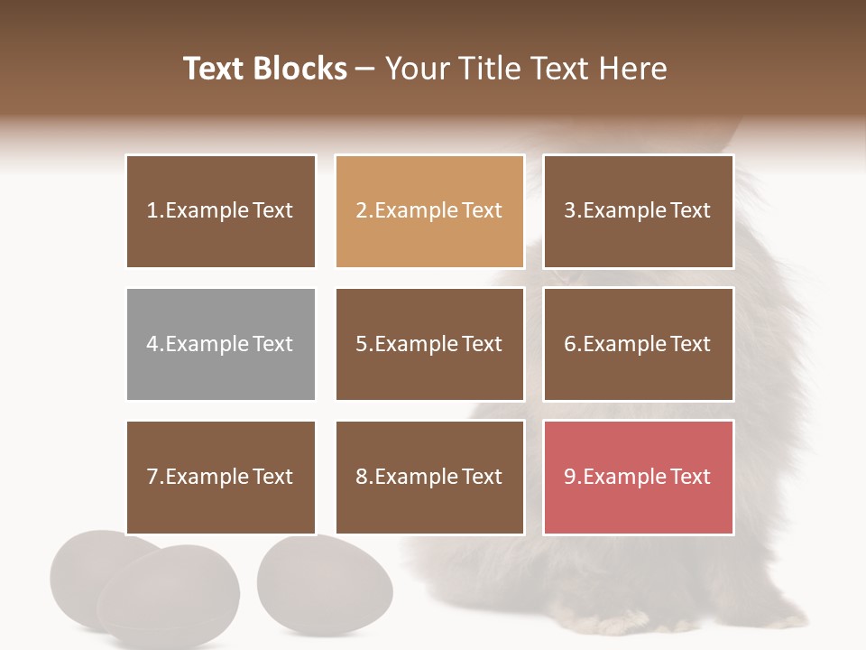 Chocolate Soft Animal PowerPoint Template