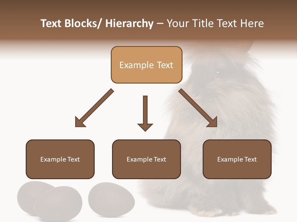 Chocolate Soft Animal PowerPoint Template
