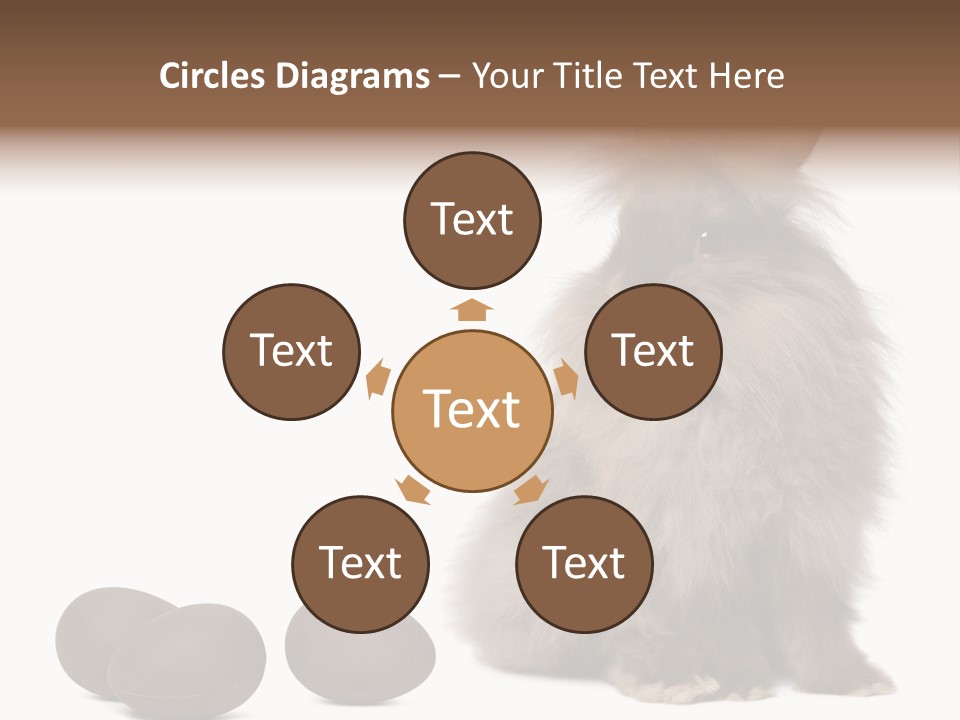 Chocolate Soft Animal PowerPoint Template