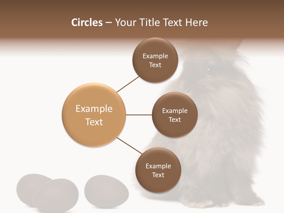 Chocolate Soft Animal PowerPoint Template