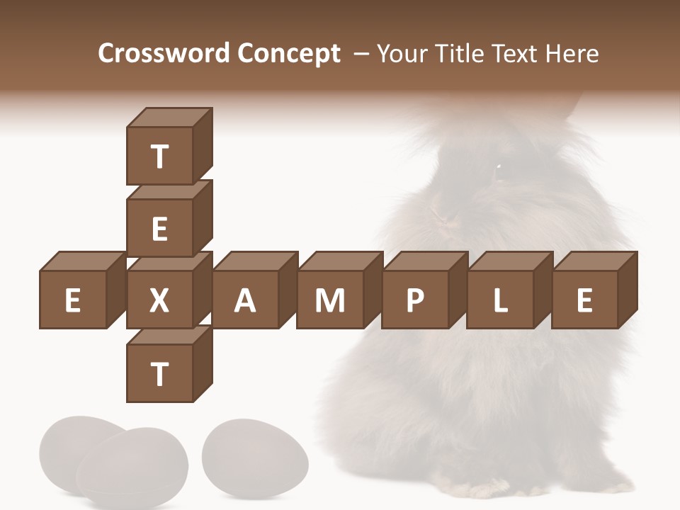 Chocolate Soft Animal PowerPoint Template