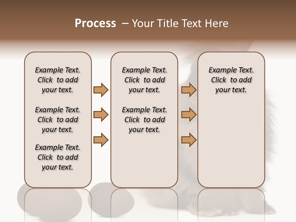 Chocolate Soft Animal PowerPoint Template