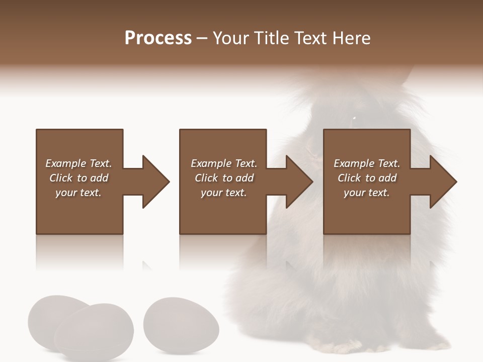 Chocolate Soft Animal PowerPoint Template