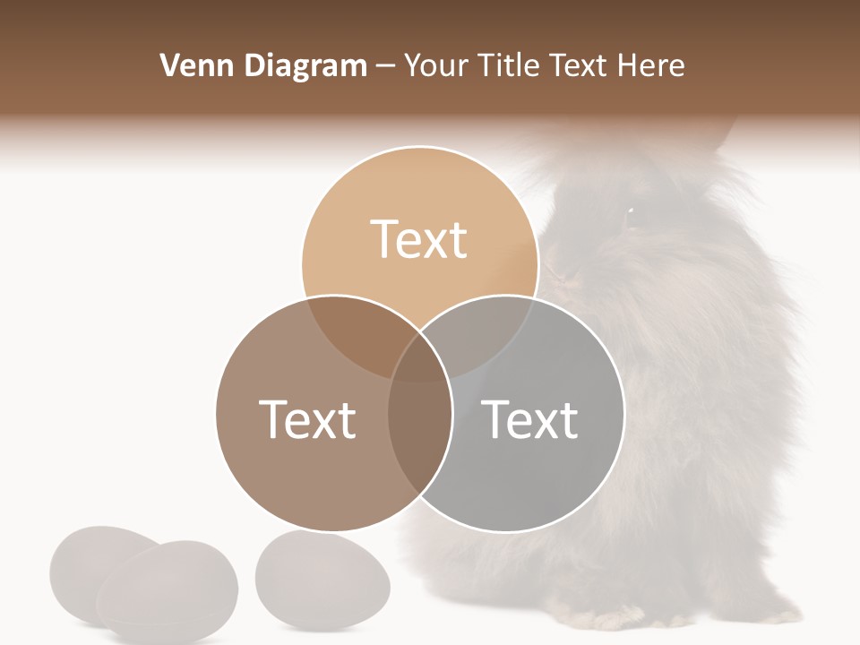 Chocolate Soft Animal PowerPoint Template