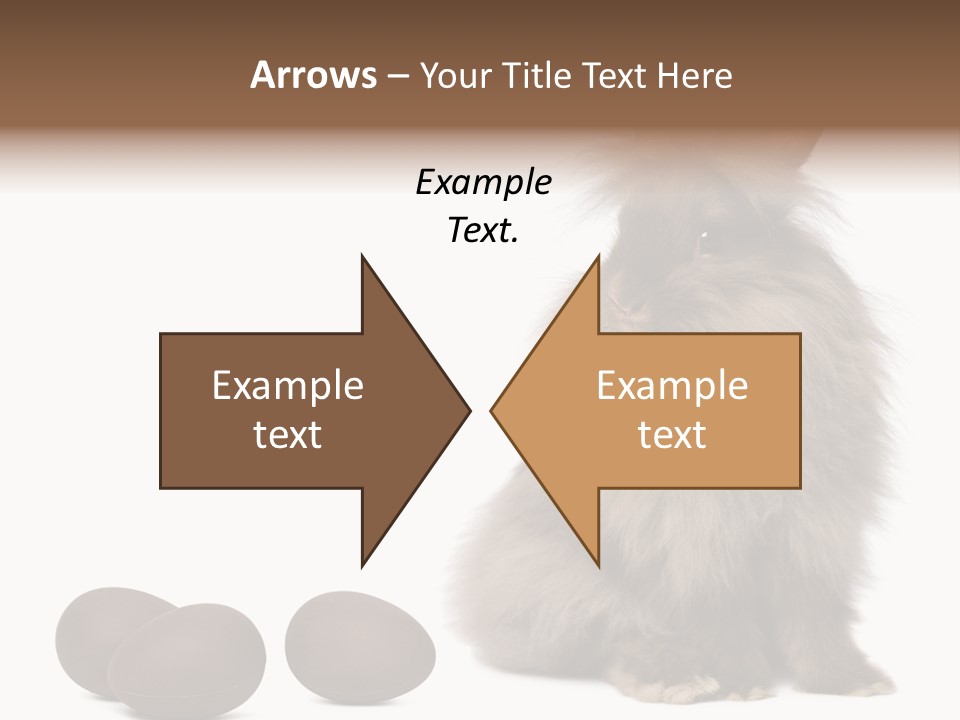 Chocolate Soft Animal PowerPoint Template