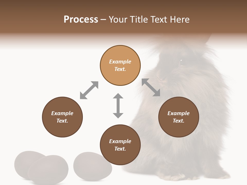 Chocolate Soft Animal PowerPoint Template