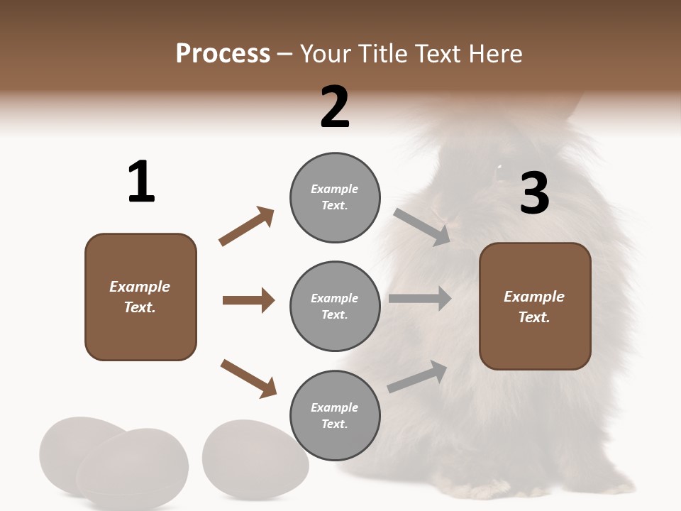 Chocolate Soft Animal PowerPoint Template