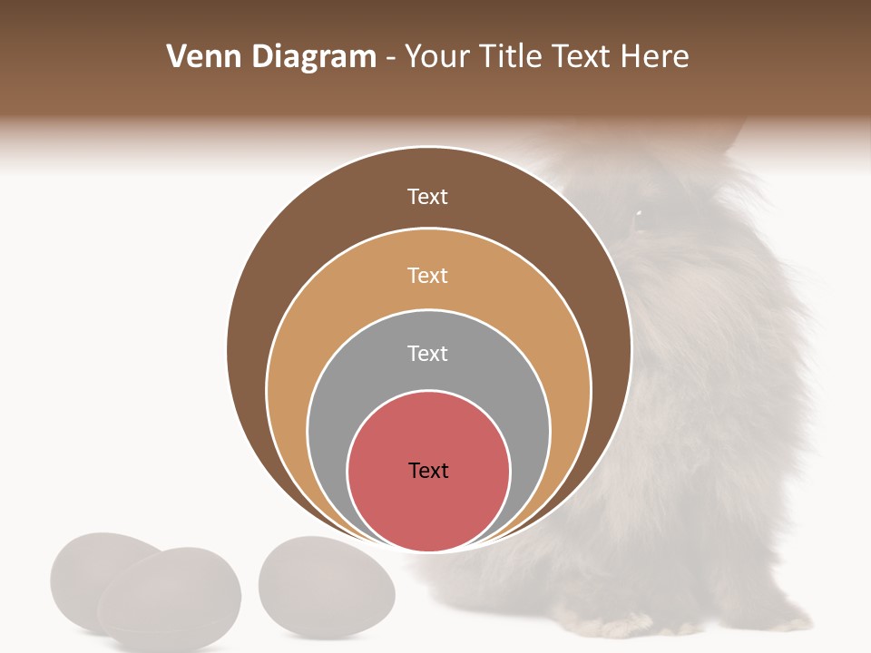 Chocolate Soft Animal PowerPoint Template