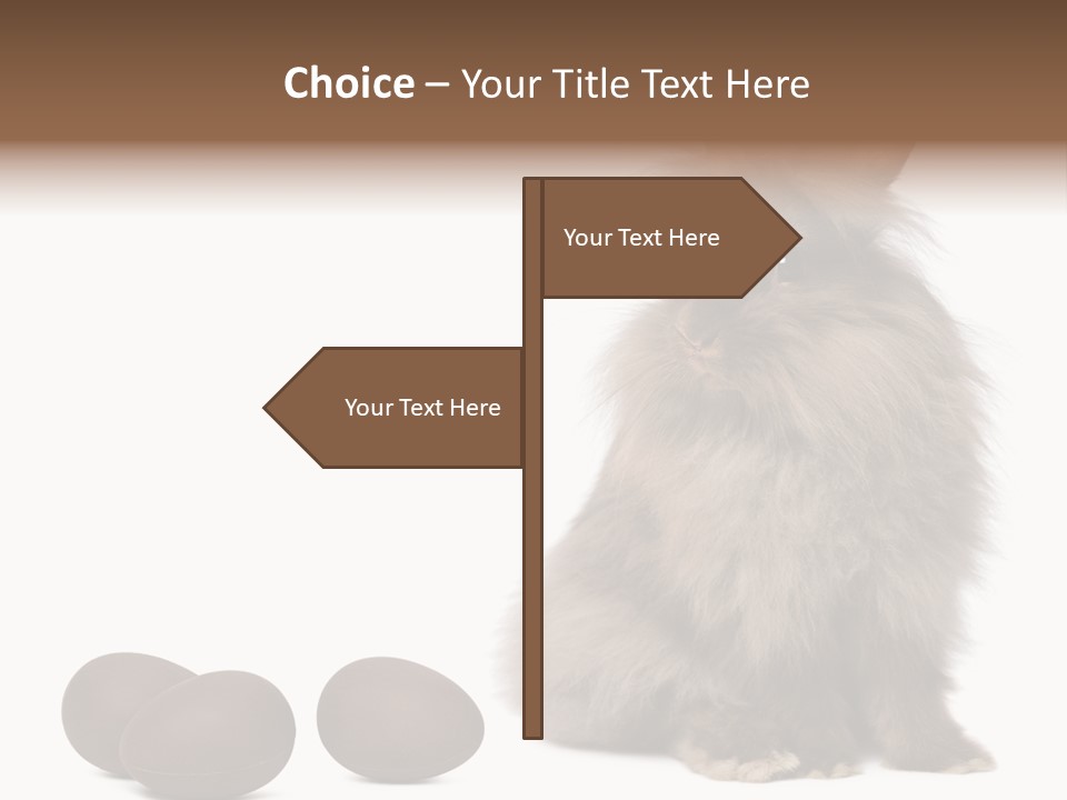 Chocolate Soft Animal PowerPoint Template