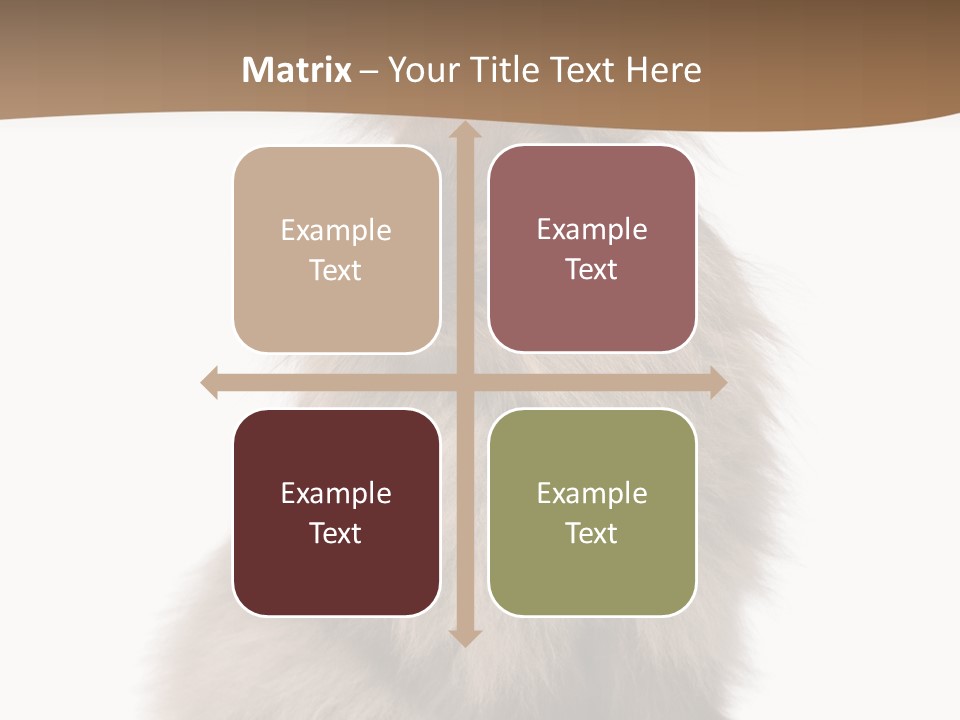 Purebred Rabbit Fur PowerPoint Template