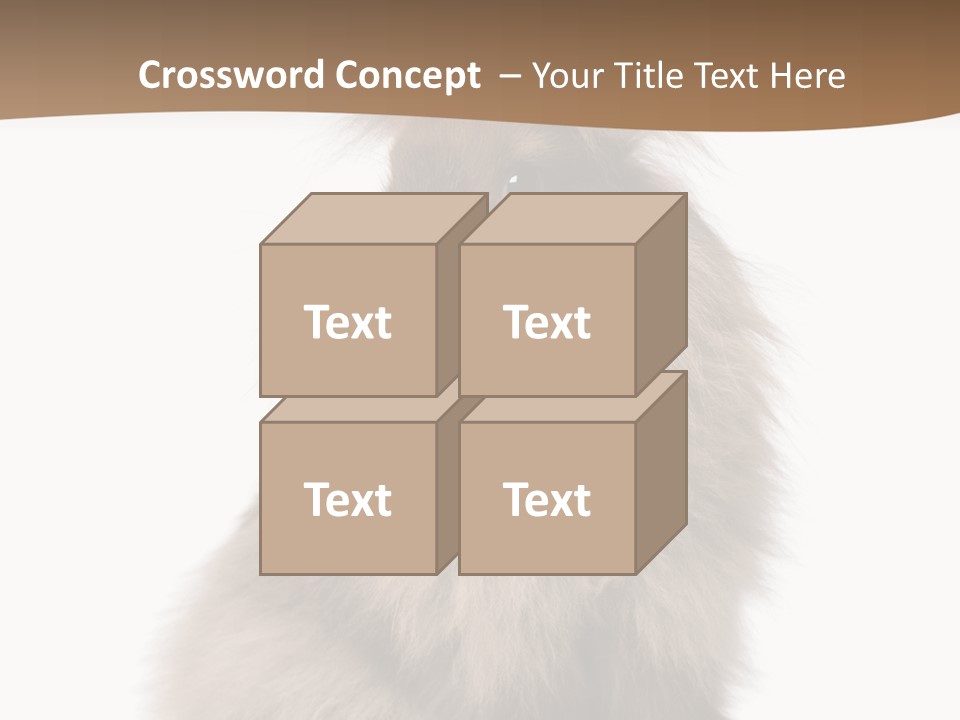 Purebred Rabbit Fur PowerPoint Template