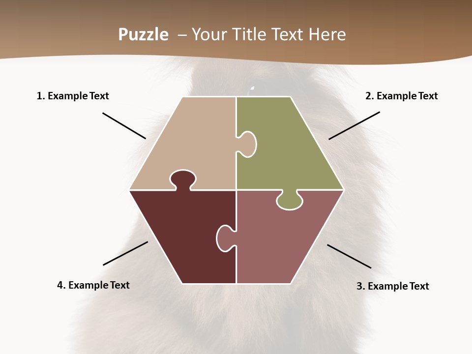 Purebred Rabbit Fur PowerPoint Template