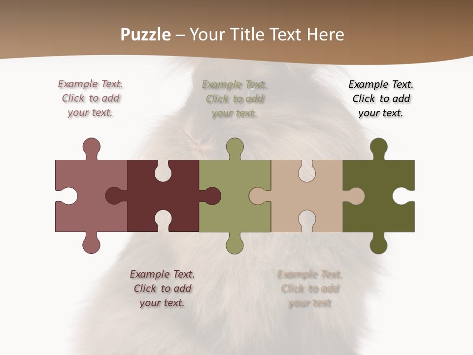 Purebred Rabbit Fur PowerPoint Template