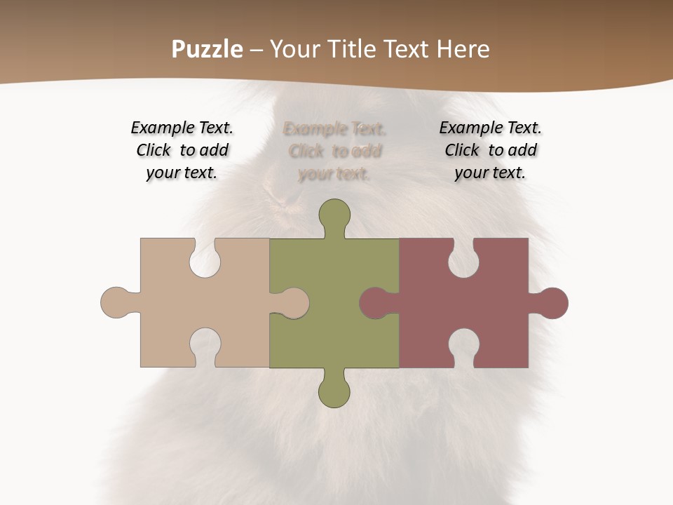 Purebred Rabbit Fur PowerPoint Template