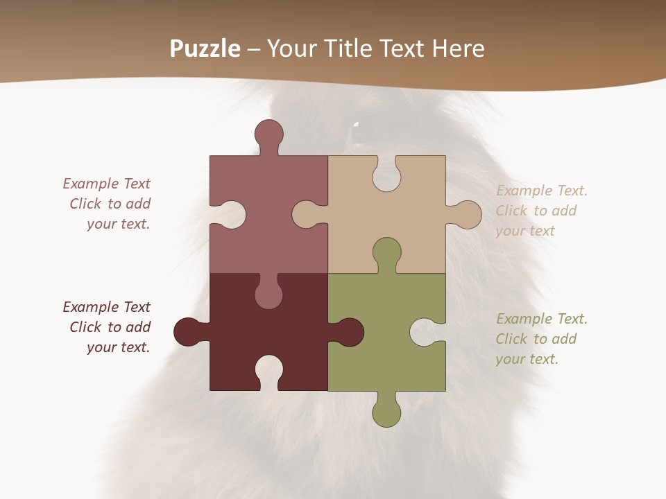 Purebred Rabbit Fur PowerPoint Template