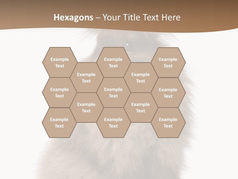 Purebred Rabbit Fur PowerPoint Template