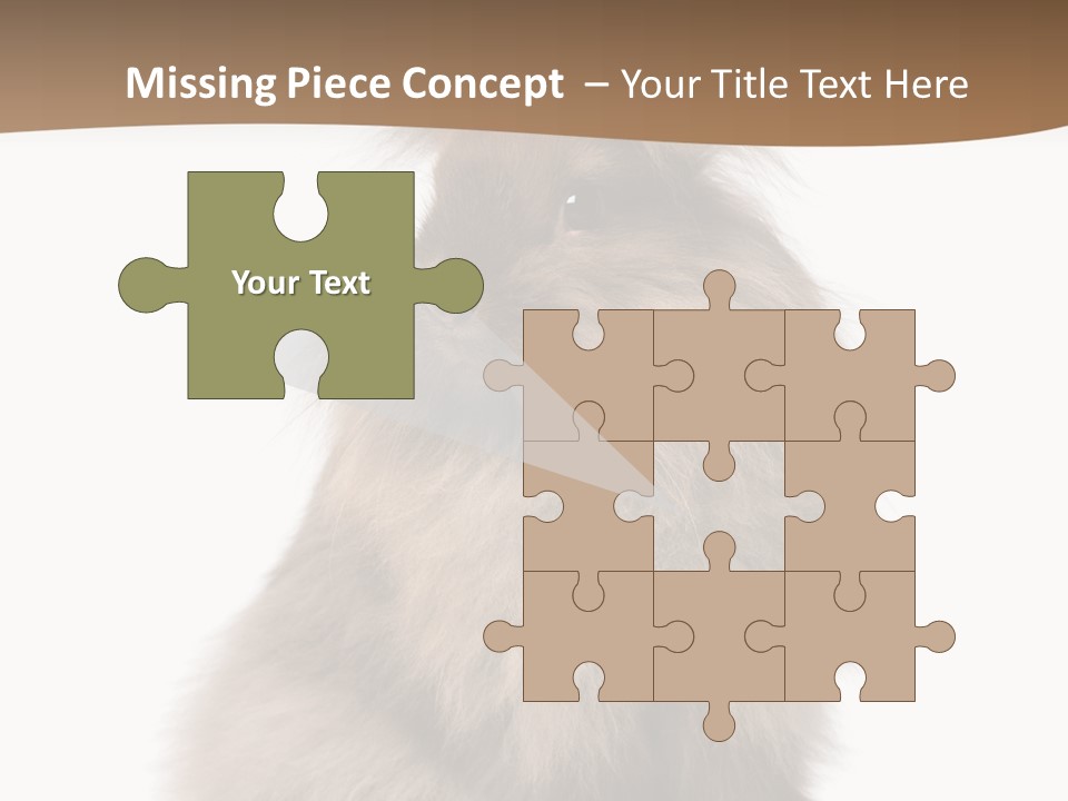 Purebred Rabbit Fur PowerPoint Template