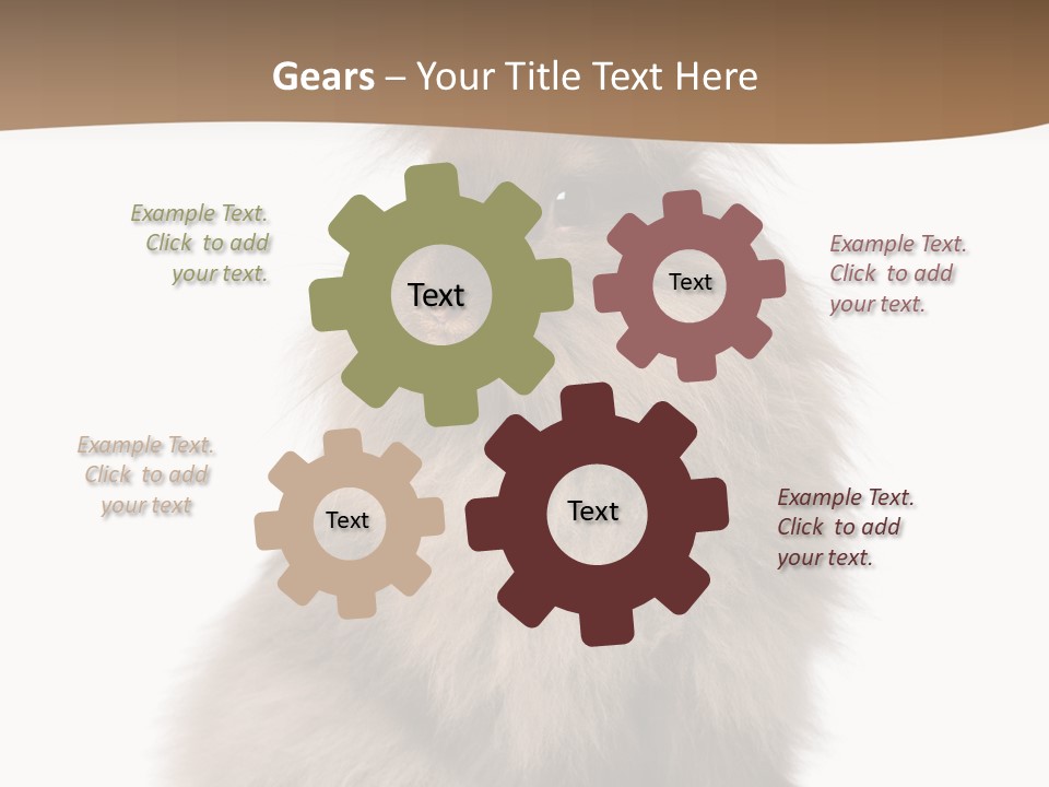 Purebred Rabbit Fur PowerPoint Template