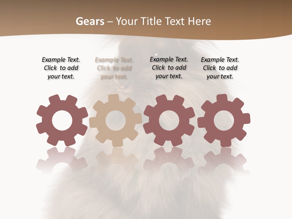 Purebred Rabbit Fur PowerPoint Template