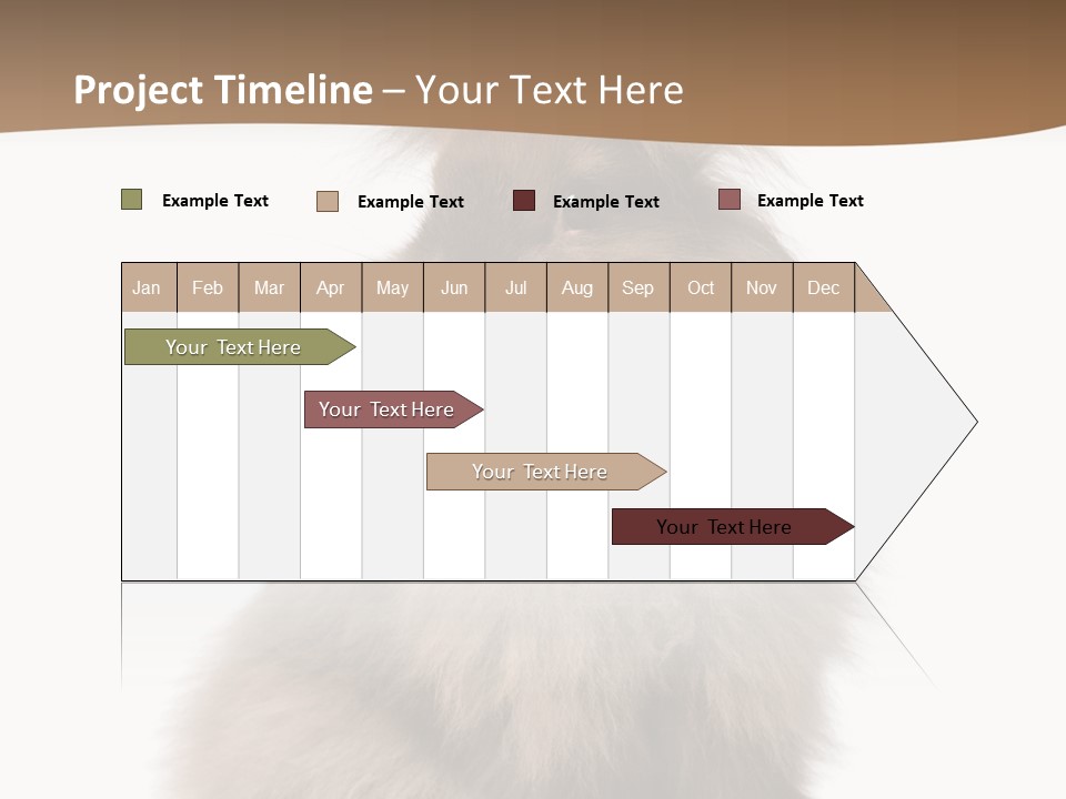 Purebred Rabbit Fur PowerPoint Template