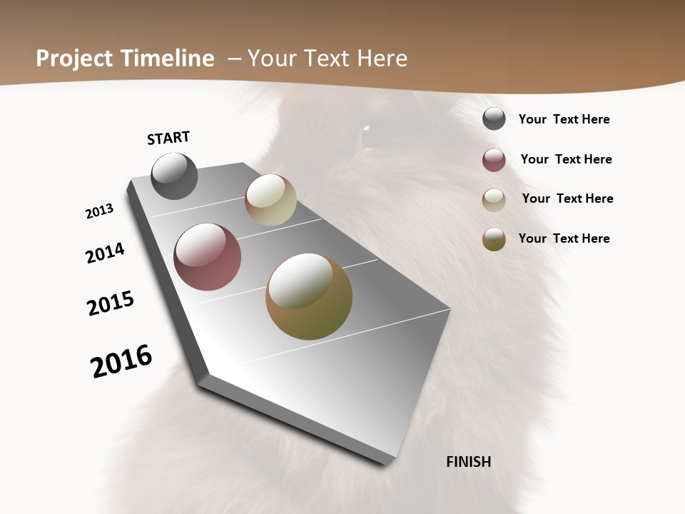 Purebred Rabbit Fur PowerPoint Template