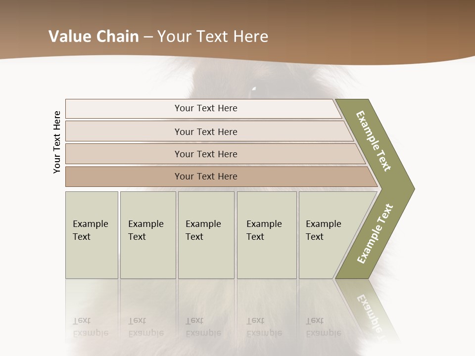 Purebred Rabbit Fur PowerPoint Template