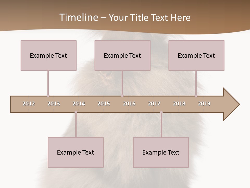 Purebred Rabbit Fur PowerPoint Template