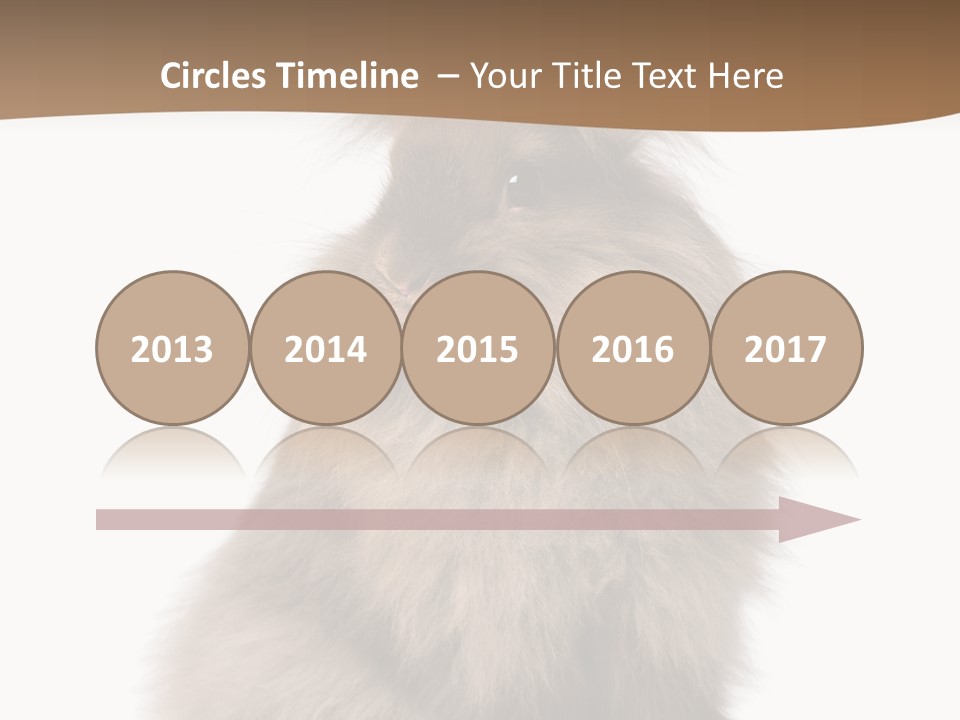 Purebred Rabbit Fur PowerPoint Template
