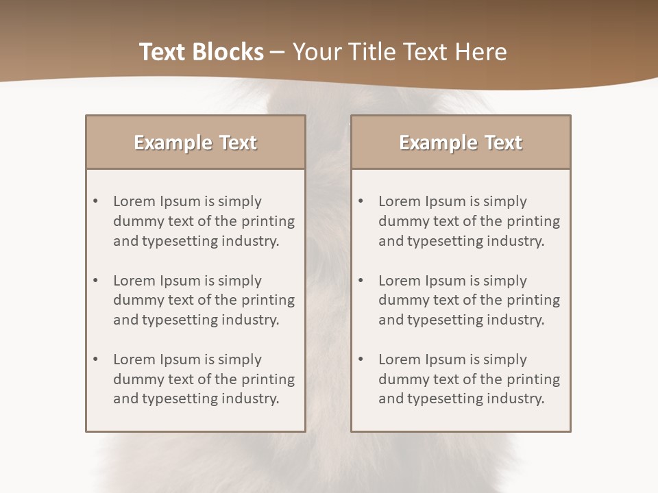 Purebred Rabbit Fur PowerPoint Template