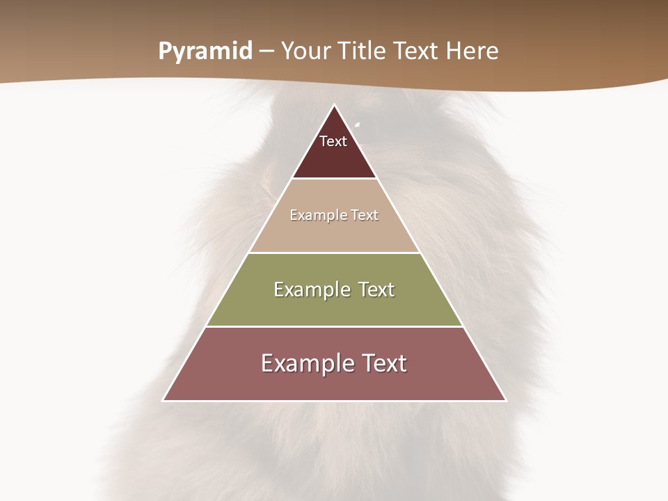 Purebred Rabbit Fur PowerPoint Template