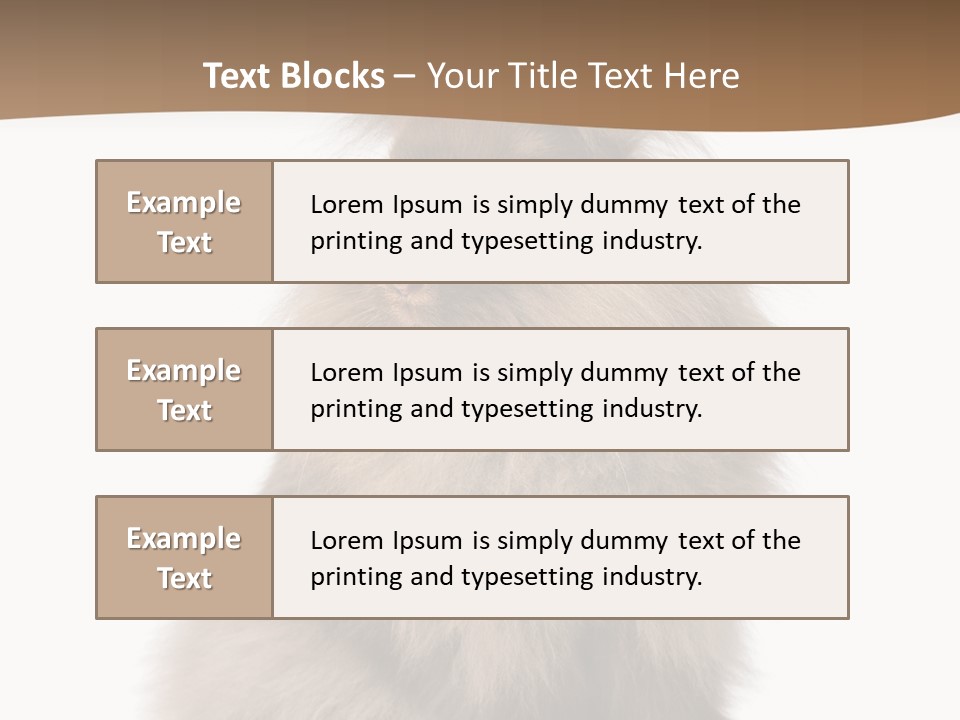 Purebred Rabbit Fur PowerPoint Template