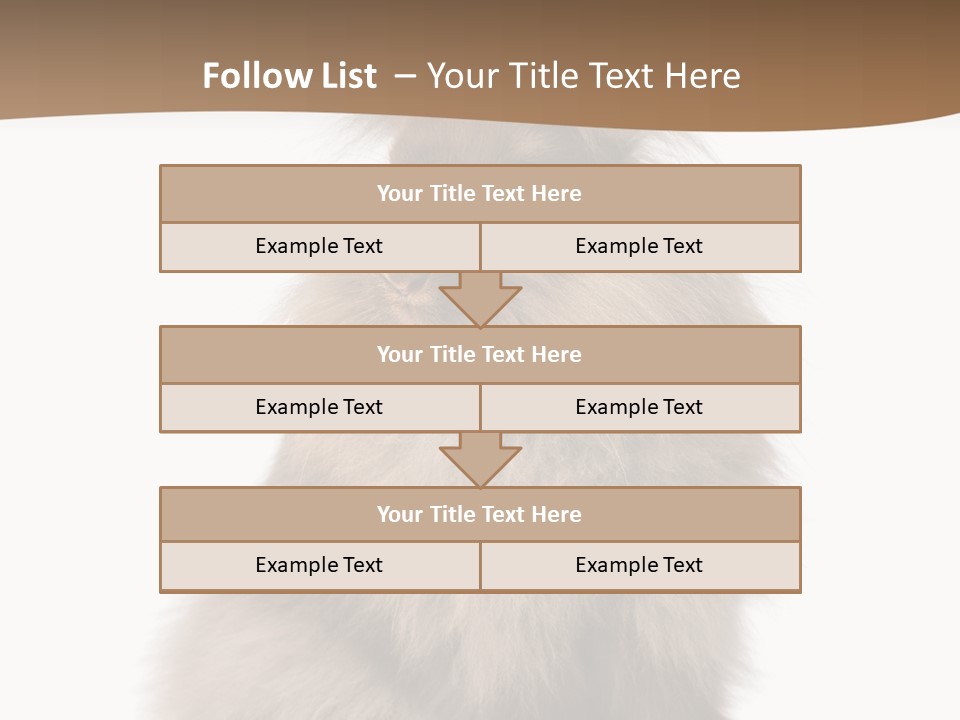 Purebred Rabbit Fur PowerPoint Template