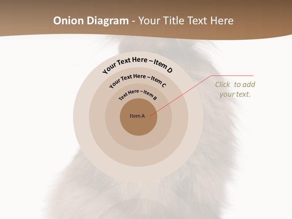 Purebred Rabbit Fur PowerPoint Template