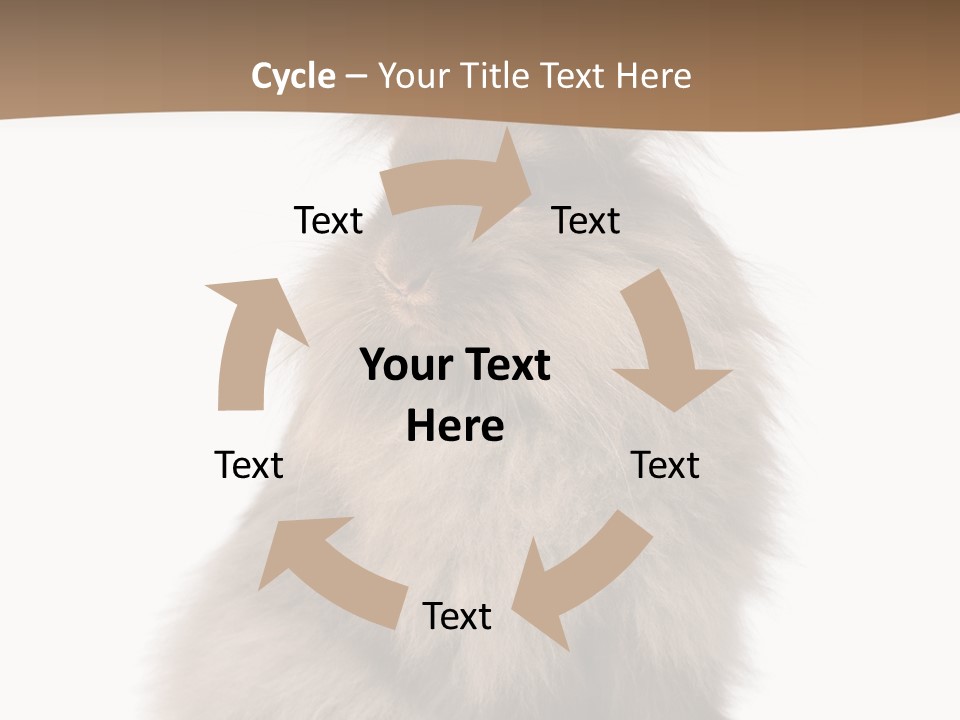 Purebred Rabbit Fur PowerPoint Template