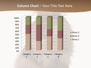 Purebred Rabbit Fur PowerPoint Template