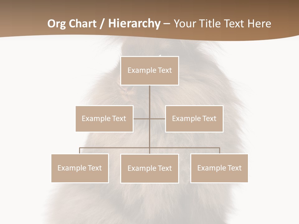 Purebred Rabbit Fur PowerPoint Template