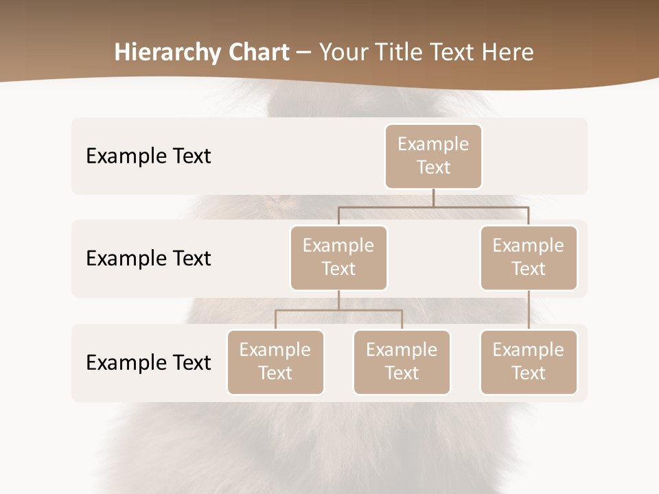Purebred Rabbit Fur PowerPoint Template