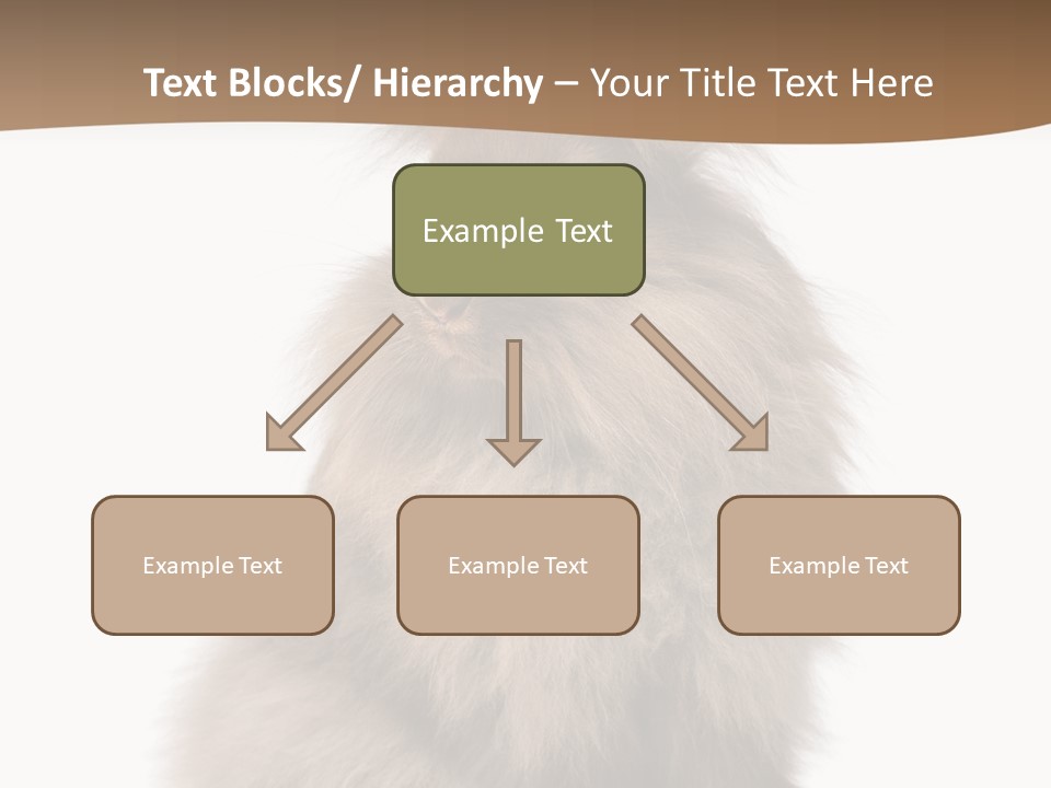 Purebred Rabbit Fur PowerPoint Template