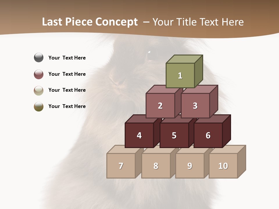 Purebred Rabbit Fur PowerPoint Template