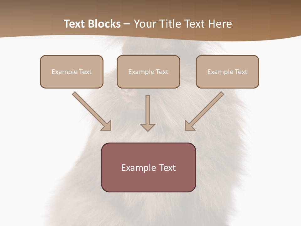 Purebred Rabbit Fur PowerPoint Template